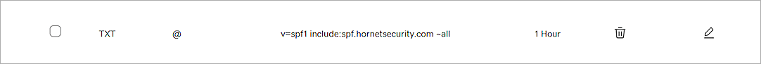 Screenshot of DNS SPF record